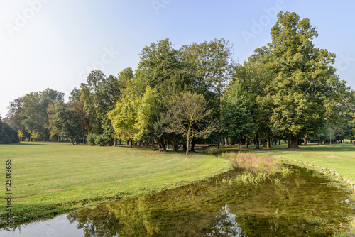 shallow waters and glade in Villa Reale park, Monza, Italy