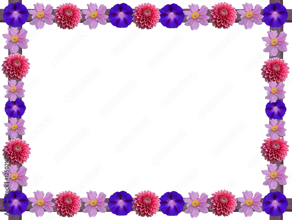 Blütenrahmen auf weißem Hintergrund: Dahlien, Anemonen, Winden Blütenrahmen auf weißem Hintergrund: Dahlien, Anemonen, Winden