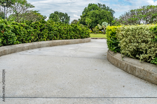 Concrete Pathway in garden
