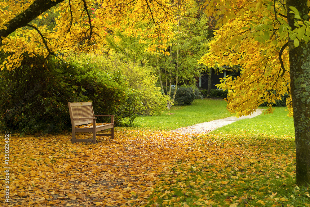Bench in a city park in autumn.