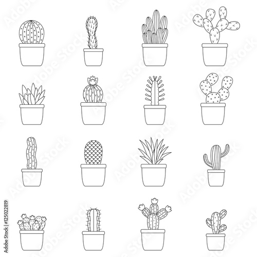 Set of cactus in pots, vector illustration