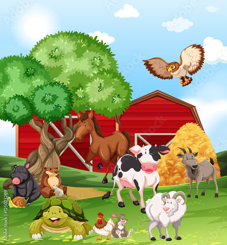Farm animals living on the farm