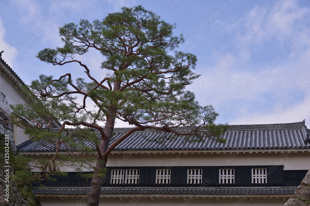 Spot Kochi Castle Japan