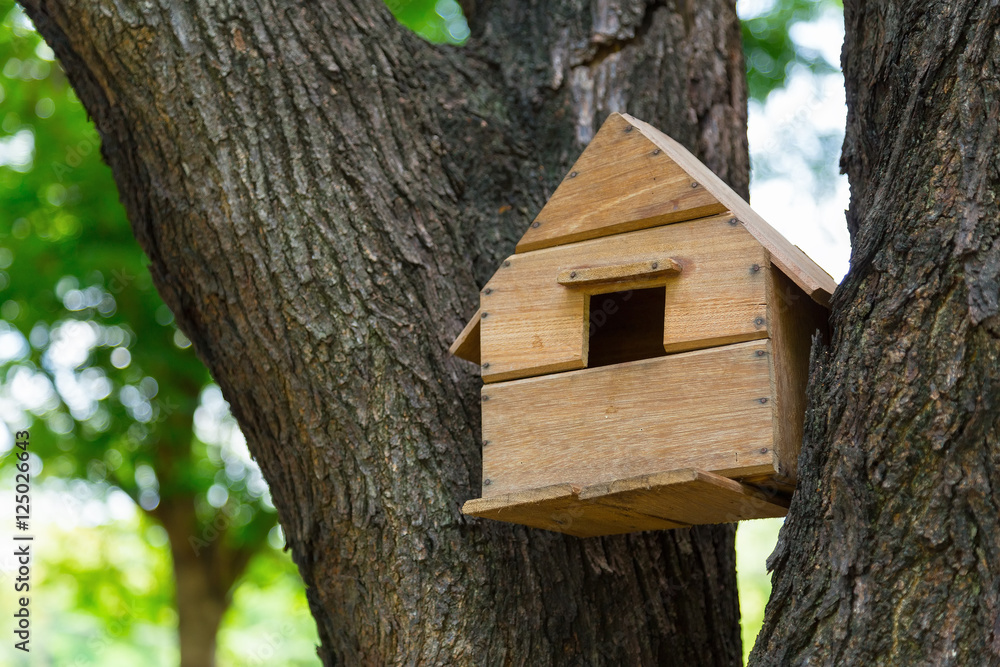 House of the birds in the trees. House of the birds in the trees.