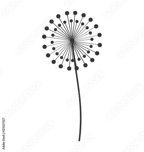 dandelion seed decoration icon vector illustration design