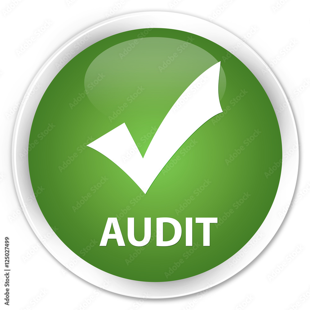 Audit (validate icon) soft green glossy round button Audit (validate icon) soft green glossy round button