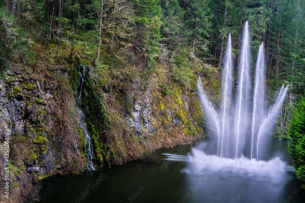 Fototapeta premium Buchart Fountain