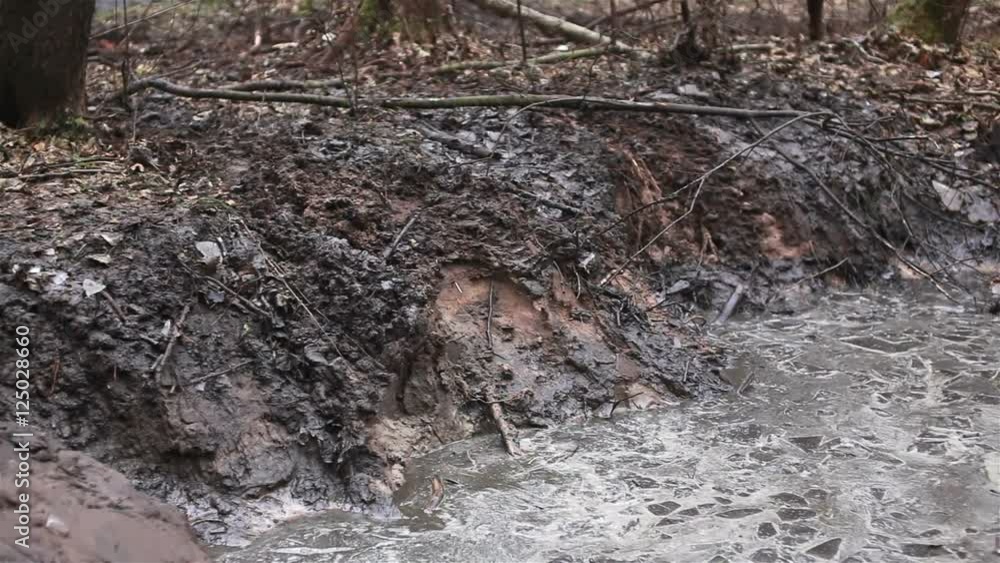 Dirty mud in the deep forest Dirty mud in the deep forest