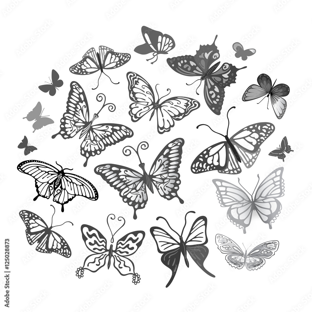 Butterfly logo set Butterfly logo set