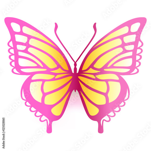 Colored butterfly logo