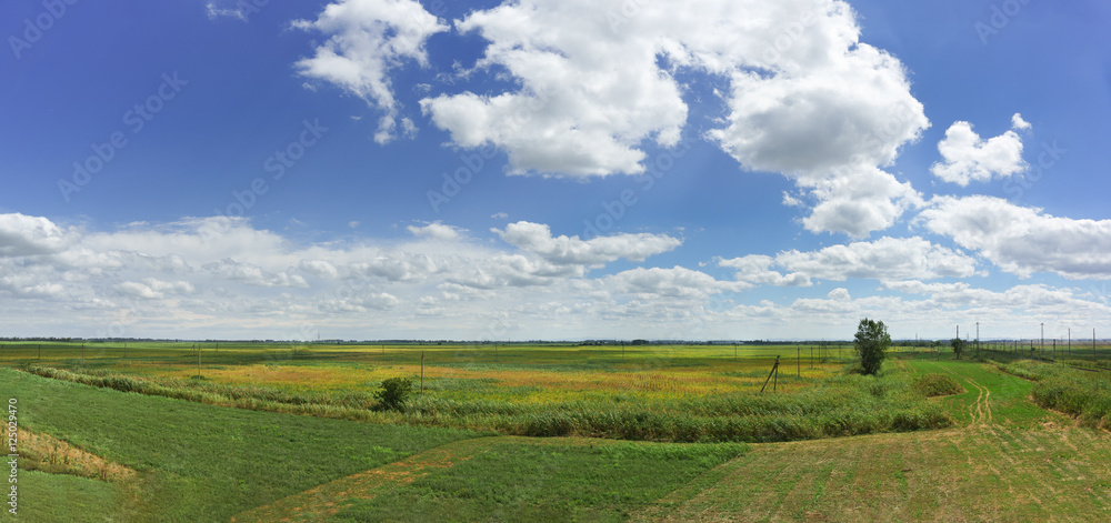 Naklejka premium Agricultural fields in Krasnodar region