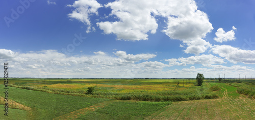 Agricultural fields in Krasnodar region photo