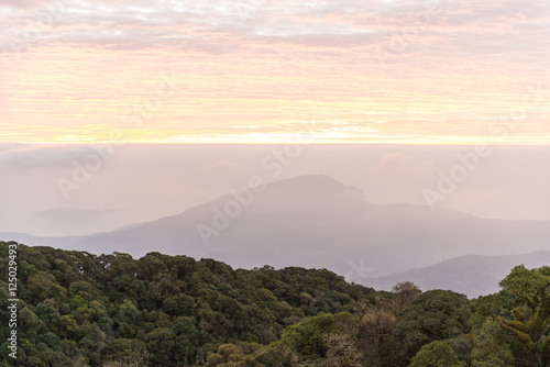 Thailand mountain landscape with morning fog at Doi Inthanon National Park in Chiangmai province, Thailand