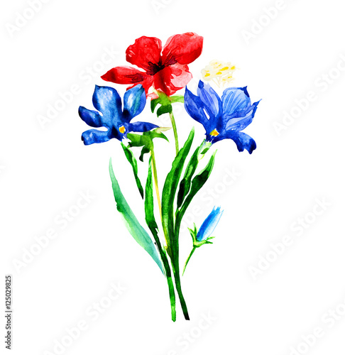 Bouquet, blue and red wild flowers isolated, watercolor floral illustration