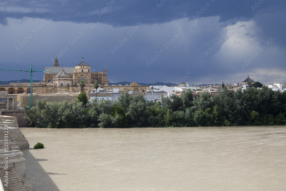 Córdoba, de Mezquita gezien vanaf de Puente Romano.