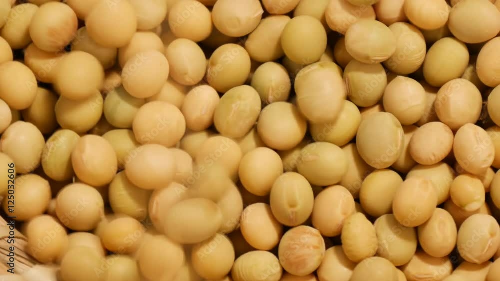 Large mass of soy beans turning
Large mass of soy beans turning