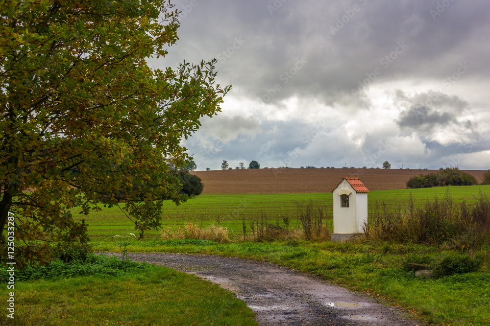 Obraz premium Countryside foad