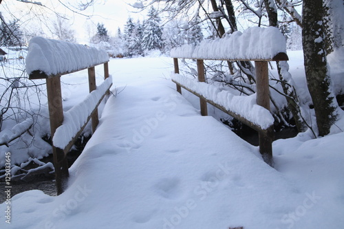 Wallpaper Mural Snow covered footbridge on a foggy winter day Torontodigital.ca