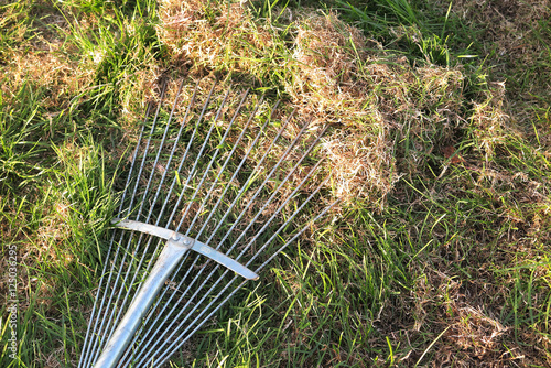 Fotografia Dethatching lawn with a lawn rake in the spring garden