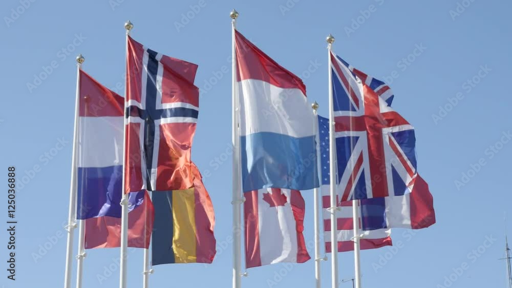 Lot of different flags mixed with American and Canadian 4K 2160p 30fps UltraHD footage - Silky fabrics of different nation symbols on wind 3840X2160 UHD video Lot of different flags mixed with American and Canadian 4K 2160p 30fps UltraHD footage - Silky fabrics of different nation symbols on wind 3840X2160 UHD video