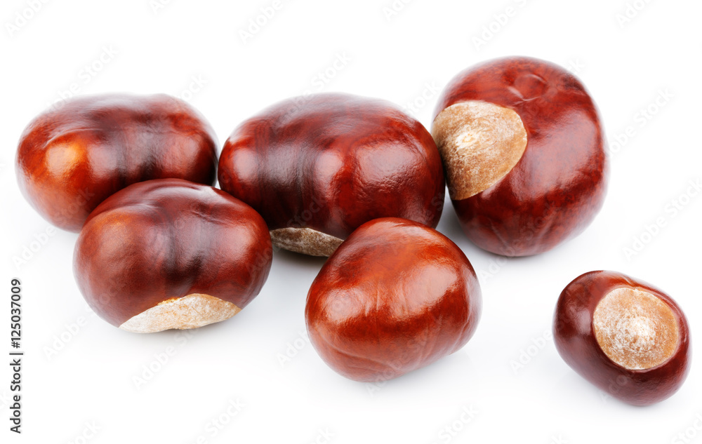 Group of chestnuts isolated on white background Group of chestnuts isolated on white background