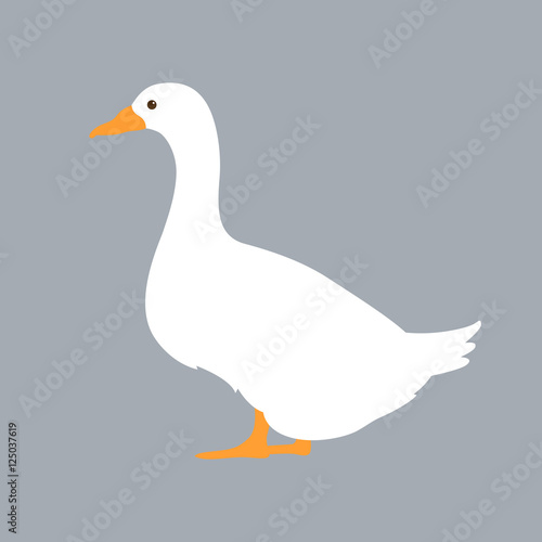 duck vector illustration style Flat
