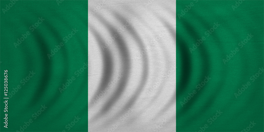 Flag of Nigeria wavy, real detailed fabric texture Flag of Nigeria wavy, real detailed fabric texture