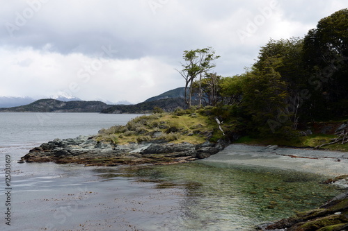 The national Park "Tierra del Fuego"
