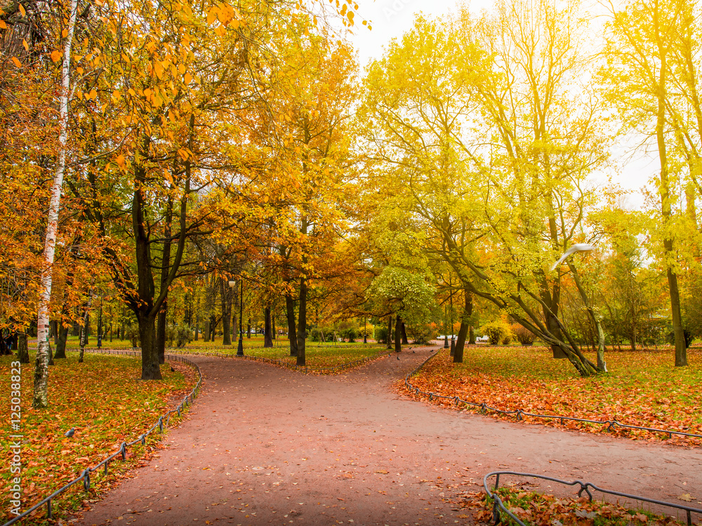 Fototapeta premium Beautiful autumn park with walk way,Autumn in St.petersburg