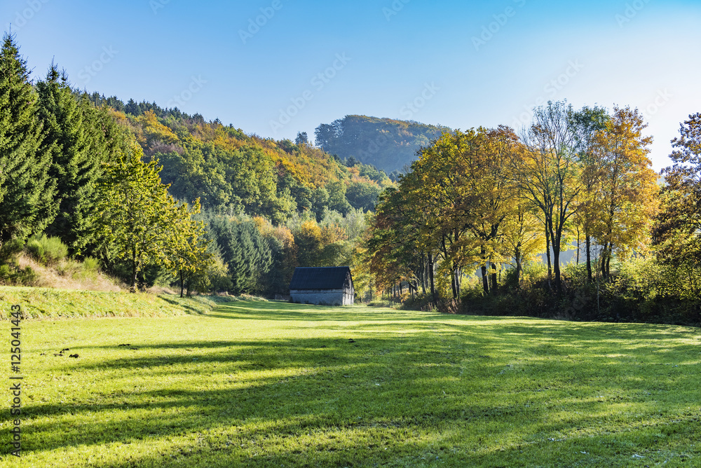 landscape with colorful trees with leaves in fall at low mountain range sauerland, germany