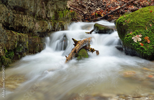 Fototapeta Naklejka Na Ścianę i Meble -  Autumn flowing mountain stream waterfall in Slovakia. Colored leafs on moss rock. Fresh natural water.