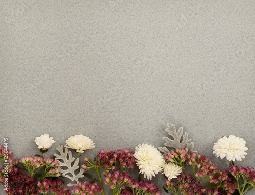 Flowers edge on gray paper