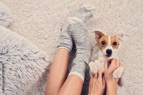 Woman wearing cozy warm wool socks relaxing at home, playing with dog, jack Russel terrier,top view. Soft, comfy lifestyle.