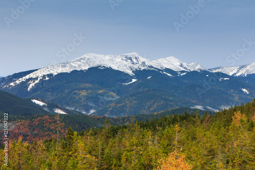 Autumn landscape in the mountains. Colorful trees on the slopes. View of first snow on the peaks.