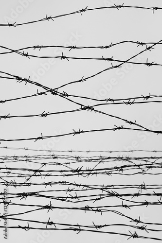 Fencing. Fence with barbed wire. Let. Jail. Thorns. Block. A prisoner. Holocaust. Concentration camp. Prisoners. Depressive background. photo