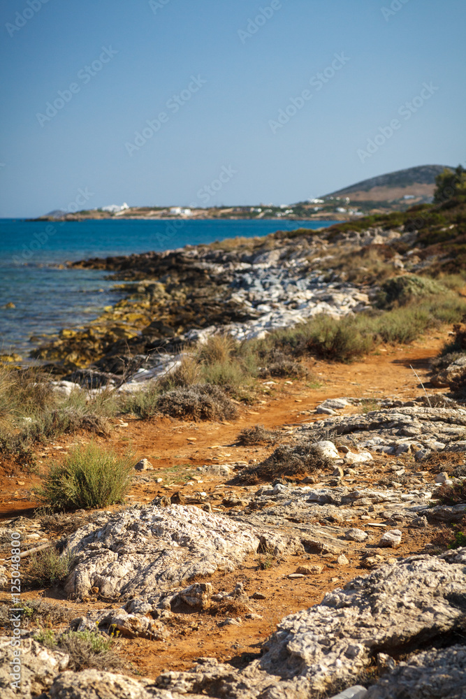 Path on the Beach