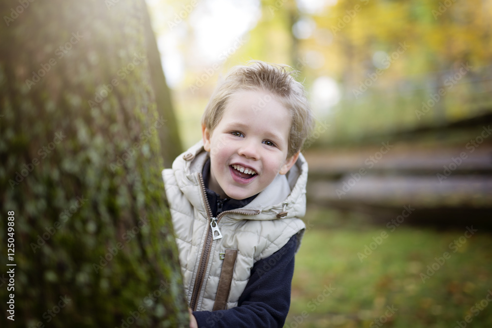 boy in autumn season in a park boy in autumn season in a park