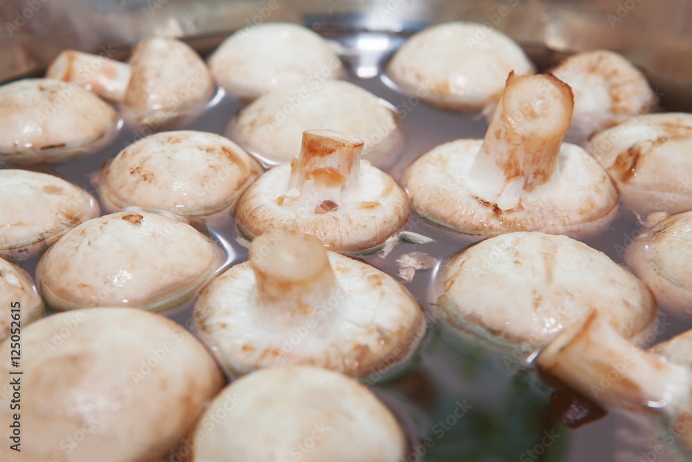 raw mushrooms in water raw mushrooms in water