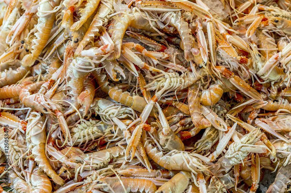 whole fresh king prawns are offered in the fish market