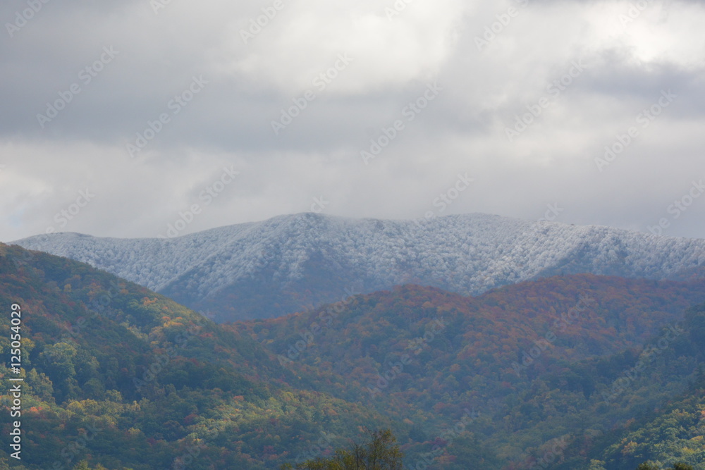 Fototapeta premium Frost and Ice up high