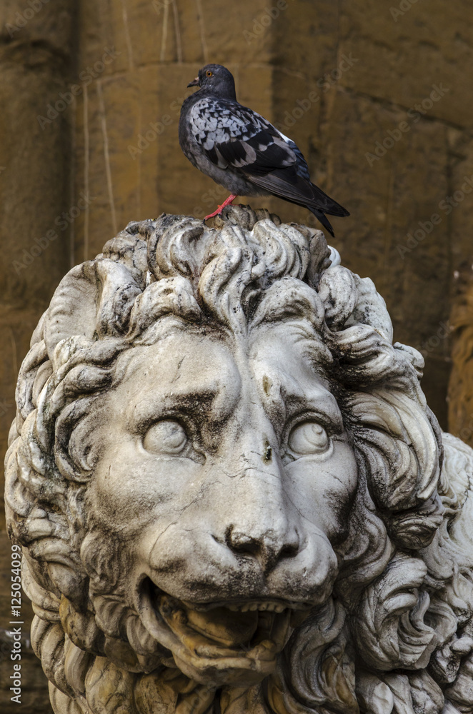 Naklejka premium on the head of a lion
