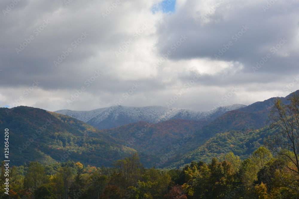 Snowy peek through Autumn eyes