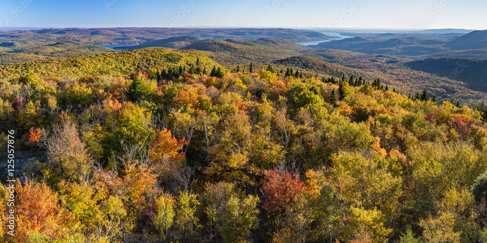 South Panoramic View from Hadley Mountain Fire Tower