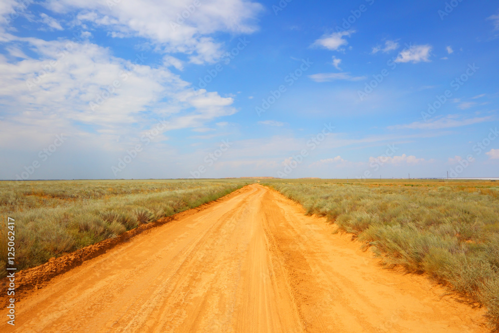 Open road. Steppe. Desert. Heat.