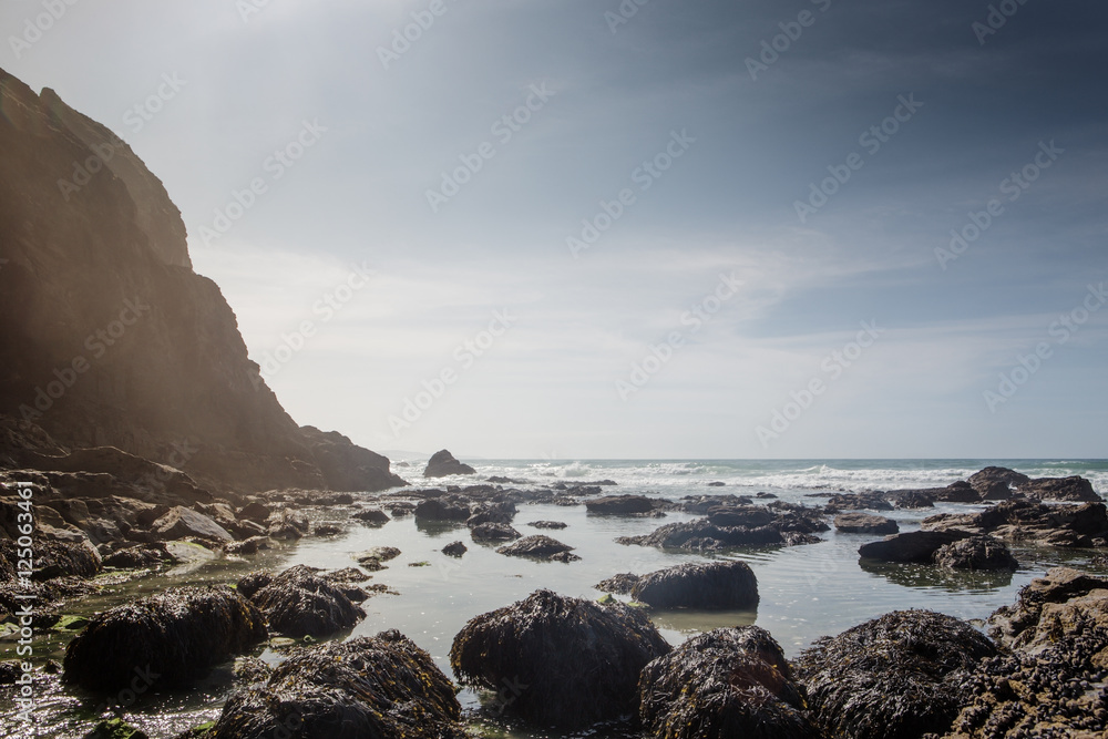 rocks on the beach