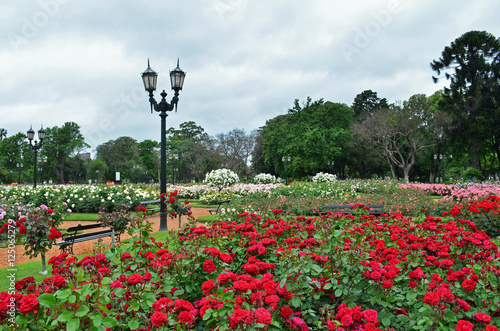 Jardines del Rosedal, Buenos Aires, Argentina photo