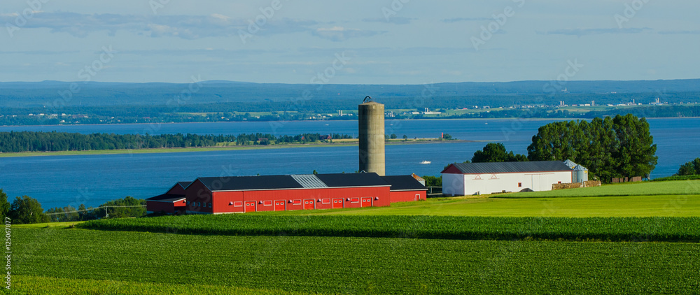 Fototapeta premium Red farm on the St-Lawrence shore