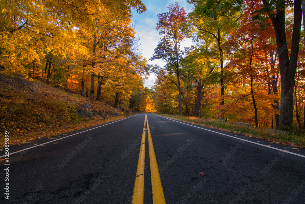 Autumn in bear mountain New York. View of an empty road between the fall golden foliage