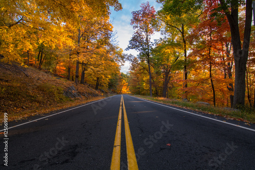 Autumn in bear mountain New York. View of an empty road between the fall golden foliage