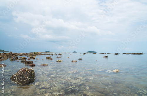 Coral stone in water on sea sand
